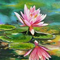 Water Lily in a Pond